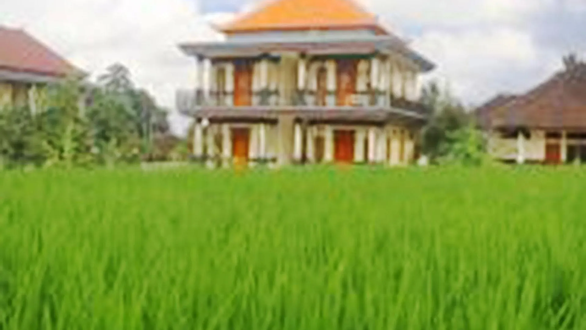 Puri Prana Guest House Ubud  0*, Ubud (Bali)