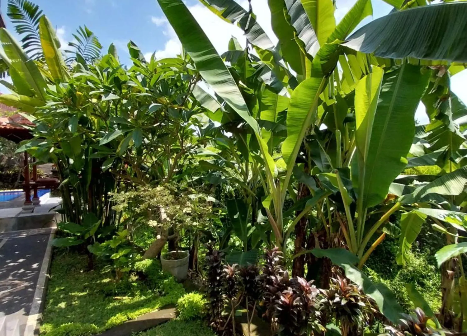 Puri Prana Guest House Ubud  Ubud (Bali)