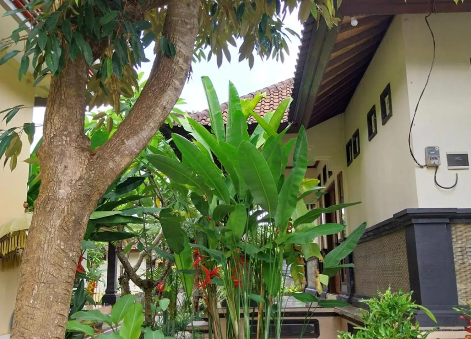 Puri Prana Guest House Ubud  Indonesia